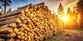 Golden hour lumber stack in a sun-drenched forest. Generative AI Royalty Free Stock Photo