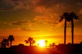 Golden hour with the mountains on the classic Arizona sunset with palm trees