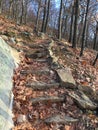 Golden Hour in November at Hudson Highlands State Park in New York. Royalty Free Stock Photo