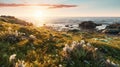 Golden Hour Reef: Hyper Realistic 3d Rendered Sea Water In Grassy Field