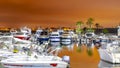 Golden hour reflected in water boats and palm trees in Sidi Fredj Port.