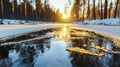 Golden Hour Reflection: Melting Ice on a Frozen Forest Path Royalty Free Stock Photo