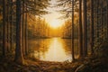 Golden Hour Reflection in a Pine Forest Lake Royalty Free Stock Photo
