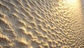 Golden hour sand dune texture rippled patterns in sunlight. Generative AI Royalty Free Stock Photo
