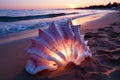 Golden hour seashell resting on sandy beach, sunrise and sunset wallpaper Royalty Free Stock Photo