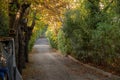 Golden Hour in a Serene Urban Alleyway Royalty Free Stock Photo
