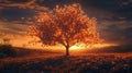 Golden Hour Serenity, A Solitary Tree Bathed in Sunset Light Royalty Free Stock Photo