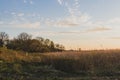 Golden hour spring park landscape, Park Aleksandria, Saint-Petersburg