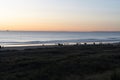 Golden hour sunrise over Mount Maunganui ocean and beach with incidental people in distance and in silhouette