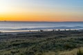 Golden hour sunrise over Mount Maunganui ocean and beach with incidental people in distance and in silhouette