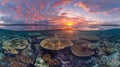 Golden hour sunset over great barrier reef coral marine ecosystem in queensland, australia Royalty Free Stock Photo