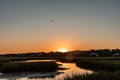 Golden hour sunset over the salt marsh in South Carolina Royalty Free Stock Photo