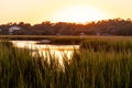 Golden hour sunset over the salt marsh in South Carolina Royalty Free Stock Photo