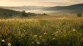 Golden Hour Tranquility in Flowering Meadow Valley