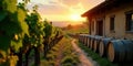 Golden hour vineyard pathway rows of grapevines leading to rustic winery building at sunset. Generative AI Royalty Free Stock Photo