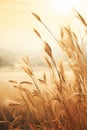 Golden Hues: A Jungian Journey Through Winter Farming and Cultur