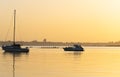 Golden hues of Tauranga Downtown waterfront sunrise