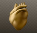 Golden human heart sculpture model.
