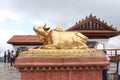 Golden idol of holy cow Nandi sacred in the Hindu religion of lord Shiva.