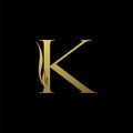 Golden Initial Letter K logo icon, simple vector design concept wing with letter Royalty Free Stock Photo