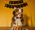 Golden inscription happy birthday on black flags and cake with cookies and candle with number 1. Concept of pet as Royalty Free Stock Photo