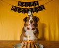 Golden inscription happy birthday on black flags and cake with cookies and candle with number 1. Concept of pet as Royalty Free Stock Photo