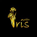 Golden iris flower logo with lettering