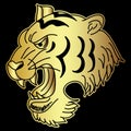 Golden Japanese tiger head tattoo design vector