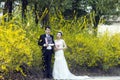 By golden jasmine flowers, a couple shot wedding photo Royalty Free Stock Photo