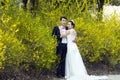 By golden jasmine flowers, a couple shot wedding photo Royalty Free Stock Photo