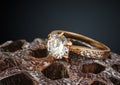 golden jewellery ring with big diamond on dry Lotus flower, macro