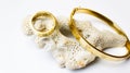 Golden jewelry with decorative seashells on white background