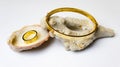 Golden jewelry with decorative seashells on white background