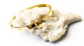 Golden jewelry with decorative seashells on white background