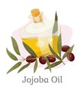 Golden Jojoba Oil in Vessel, Branch with Drupes