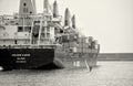 Golden Karoo container ship on black and white