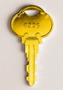 Golden key Royalty Free Stock Photo