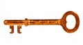 Golden key Royalty Free Stock Photo