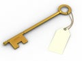 Golden key Royalty Free Stock Photo