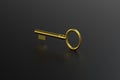 The golden key with black background, 3d rendering