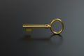 The golden key with black background, 3d rendering