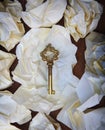 golden key on crumpled paper on wood table seem some successfull was not find out Royalty Free Stock Photo