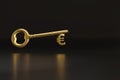 Golden key with euro sign with copy space. 3d illustration Royalty Free Stock Photo