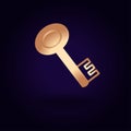 Gold key icon. Vector illustration isolated on a blue background. School topics