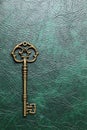 Golden key on a leather Royalty Free Stock Photo