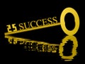 Golden Key to Success Royalty Free Stock Photo