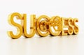 Golden key unlocking success word. 3D illustration