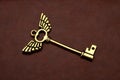 Golden Key with wings on Brown Leather Royalty Free Stock Photo