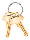 Golden keys, isolated.