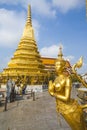 A golden kinaree, a mythology figure, is watching the temple